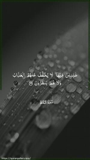 Al-Baqara Ayah 162 - Arabic wallpaper