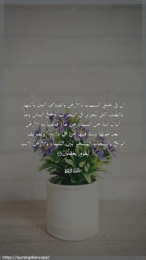 Al-Baqara Ayah 164 - Arabic wallpaper