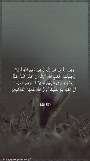 Al-Baqara Ayah 165 - Arabic wallpaper