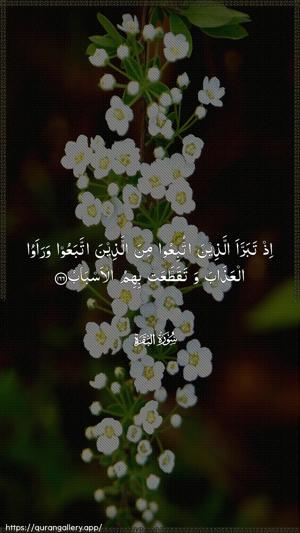 Al-Baqara Ayah 166 - Arabic wallpaper