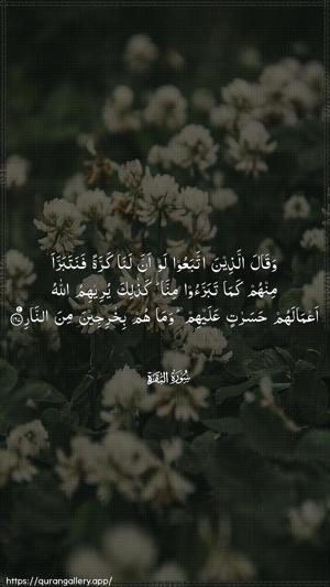 Al-Baqara Ayah 167 - Arabic wallpaper