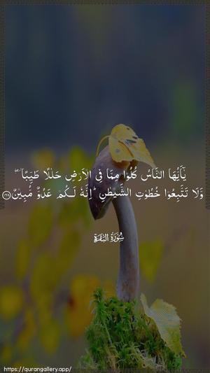 Al-Baqara Ayah 168 - Arabic wallpaper