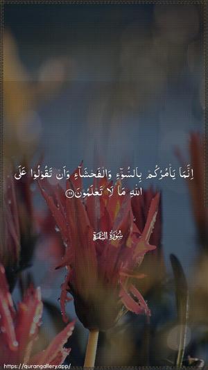 Al-Baqara Ayah 169 - Arabic wallpaper