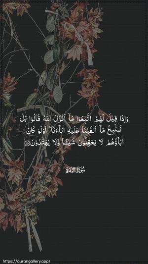 Al-Baqara Ayah 170 - Arabic wallpaper