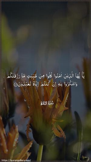 Al-Baqara Ayah 172 - Arabic wallpaper