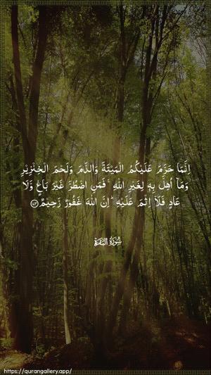 Al-Baqara Ayah 173 - Arabic wallpaper