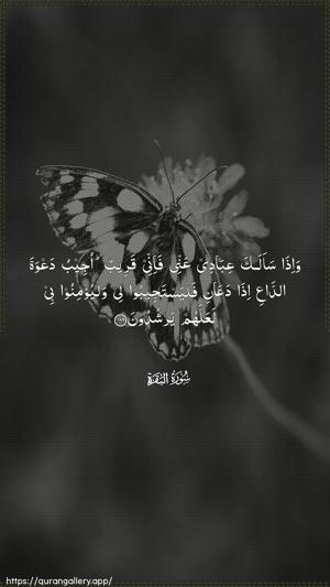 Al-Baqara Ayah 186 - Arabic wallpaper