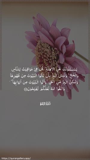Al-Baqara Ayah 189 - Arabic wallpaper