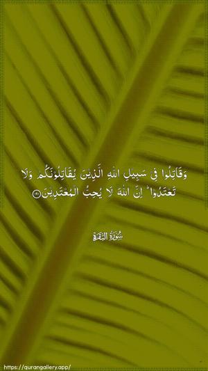 Al-Baqara Ayah 190 - Arabic wallpaper