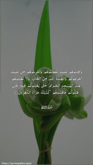 Al-Baqara Ayah 191 - Arabic wallpaper