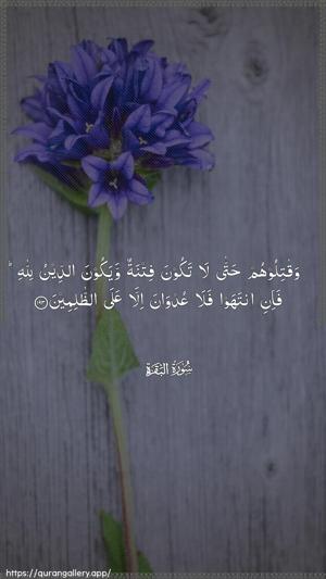 Al-Baqara Ayah 193 - Arabic wallpaper