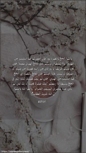 Al-Baqara Ayah 196 - Arabic wallpaper