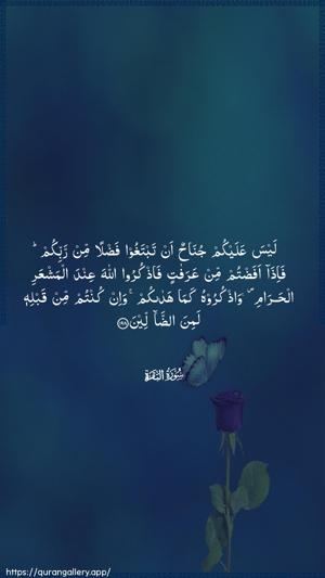 Al-Baqara Ayah 198 - Arabic wallpaper