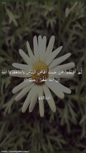 Al-Baqara Ayah 199 - Arabic wallpaper