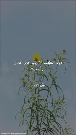Al-Baqara Ayah 2 - Arabic wallpaper