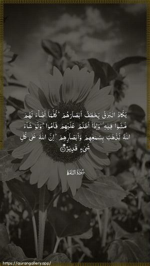 Al-Baqara Ayah 20 - Arabic wallpaper