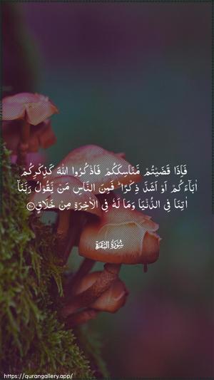 Al-Baqara Ayah 200 - Arabic wallpaper