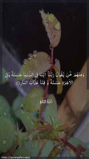 Al-Baqara Ayah 201 - Arabic wallpaper