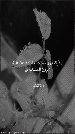 Al-Baqara Ayah 202 - Arabic wallpaper