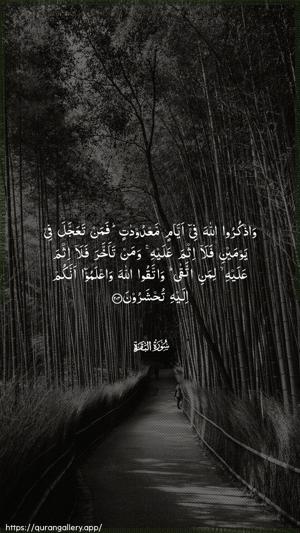 Al-Baqara Ayah 203 - Arabic wallpaper