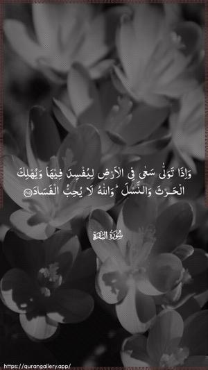 Al-Baqara Ayah 205 - Arabic wallpaper