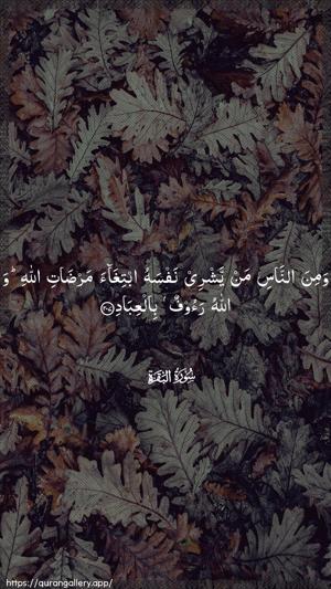 Al-Baqara Ayah 207 - Arabic wallpaper