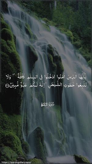 Al-Baqara Ayah 208 - Arabic wallpaper