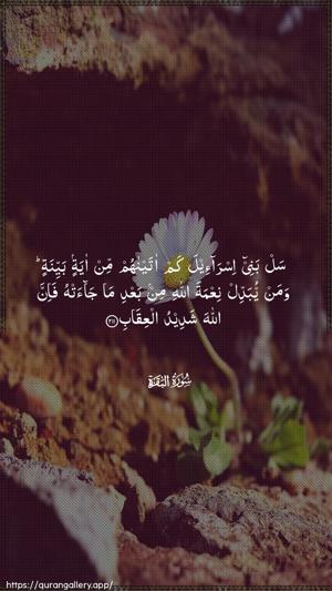 Al-Baqara Ayah 211 - Arabic wallpaper