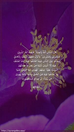 Al-Baqara Ayah 213 - Arabic wallpaper