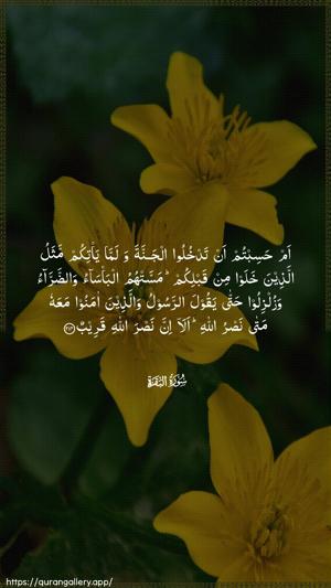 Al-Baqara Ayah 214 - Arabic wallpaper