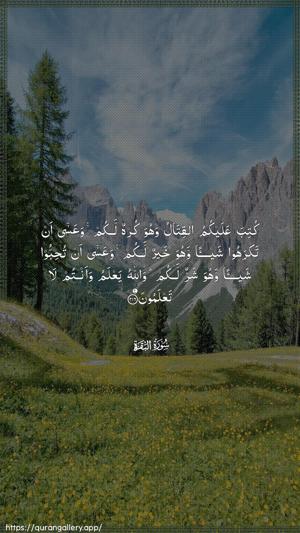 Al-Baqara Ayah 216 - Arabic wallpaper