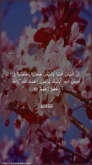 Al-Baqara Ayah 218 - Arabic wallpaper