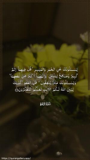 Al-Baqara Ayah 219 - Arabic wallpaper