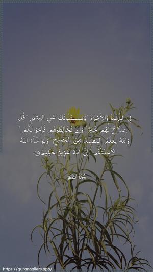 Al-Baqara Ayah 220 - Arabic wallpaper