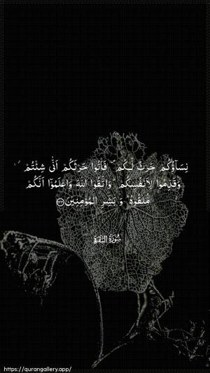 Al-Baqara Ayah 223 - Arabic wallpaper