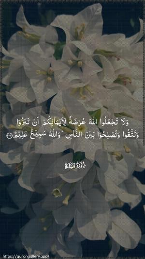 Al-Baqara Ayah 224 - Arabic wallpaper