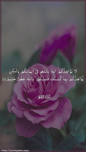 Al-Baqara Ayah 225 - Arabic wallpaper