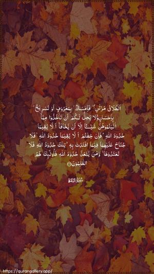 Al-Baqara Ayah 229 - Arabic wallpaper