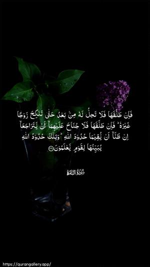 Al-Baqara Ayah 230 - Arabic wallpaper