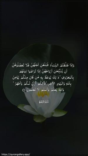 Al-Baqara Ayah 232 - Arabic wallpaper