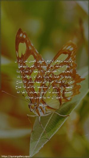 Al-Baqara Ayah 233 - Arabic wallpaper