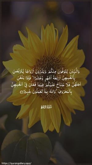 Al-Baqara Ayah 234 - Arabic wallpaper