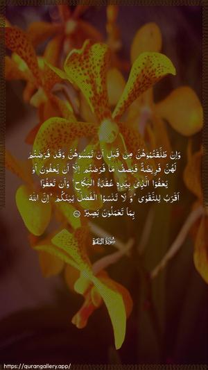 Al-Baqara Ayah 237 - Arabic wallpaper