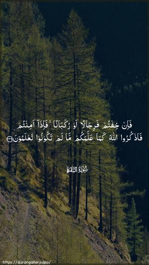 Al-Baqara Ayah 239 - Arabic wallpaper
