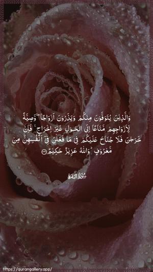 Al-Baqara Ayah 240 - Arabic wallpaper