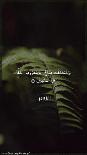 Al-Baqara Ayah 241 - Arabic wallpaper