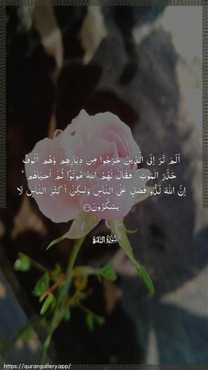 Al-Baqara Ayah 243 - Arabic wallpaper
