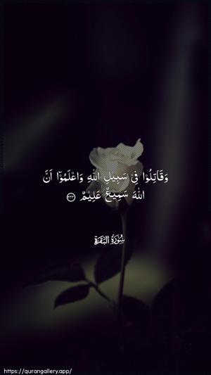 Al-Baqara Ayah 244 - Arabic wallpaper