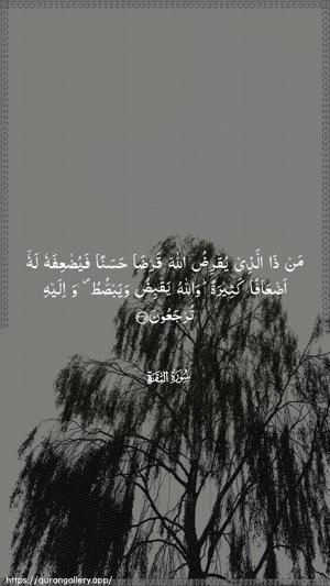 Al-Baqara Ayah 245 - Arabic wallpaper
