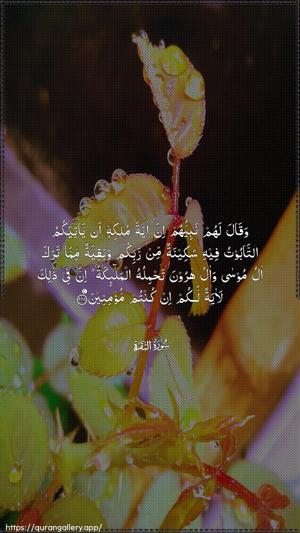 Al-Baqara Ayah 248 - Arabic wallpaper